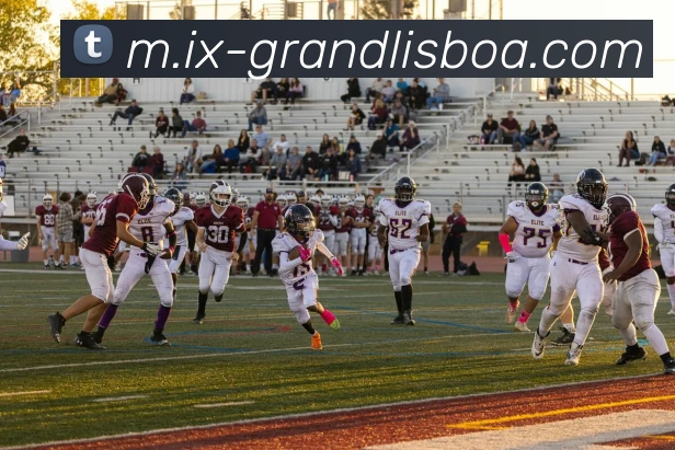 澳门新葡京娱乐APP 高清赛事图